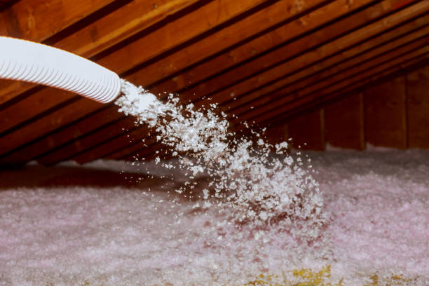 Best Crawl Space Insulation  in Strodes Mills, PA