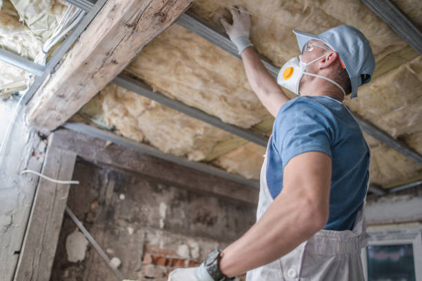 Best Insulation Replacement Services  in Strodes Mills, PA